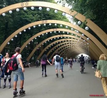 Парк сокольники деревья