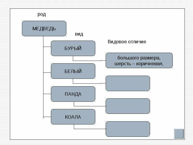 Роды рода различия. Родовое и видовое понятие. Родовое и видовое понятие схема. Родовые понятия и видовые понятия. Обозначение родовых и видовых понятий.