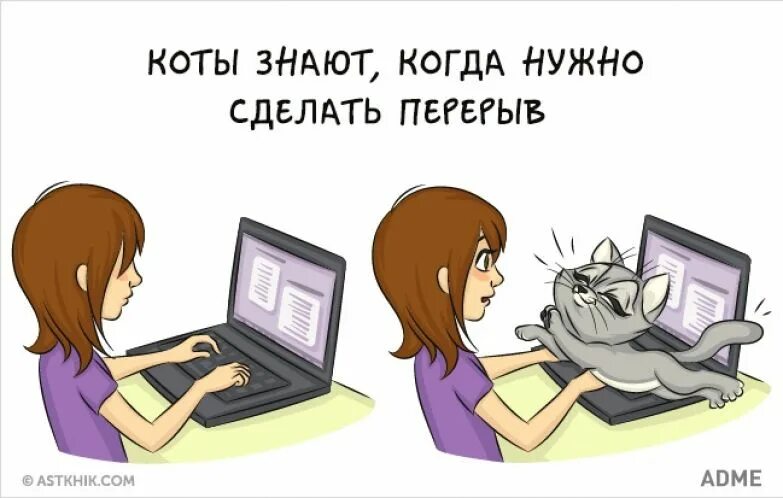 Причины завести котика. Знаешь кот. Кот знает всё. Зачем мы заводим котов.