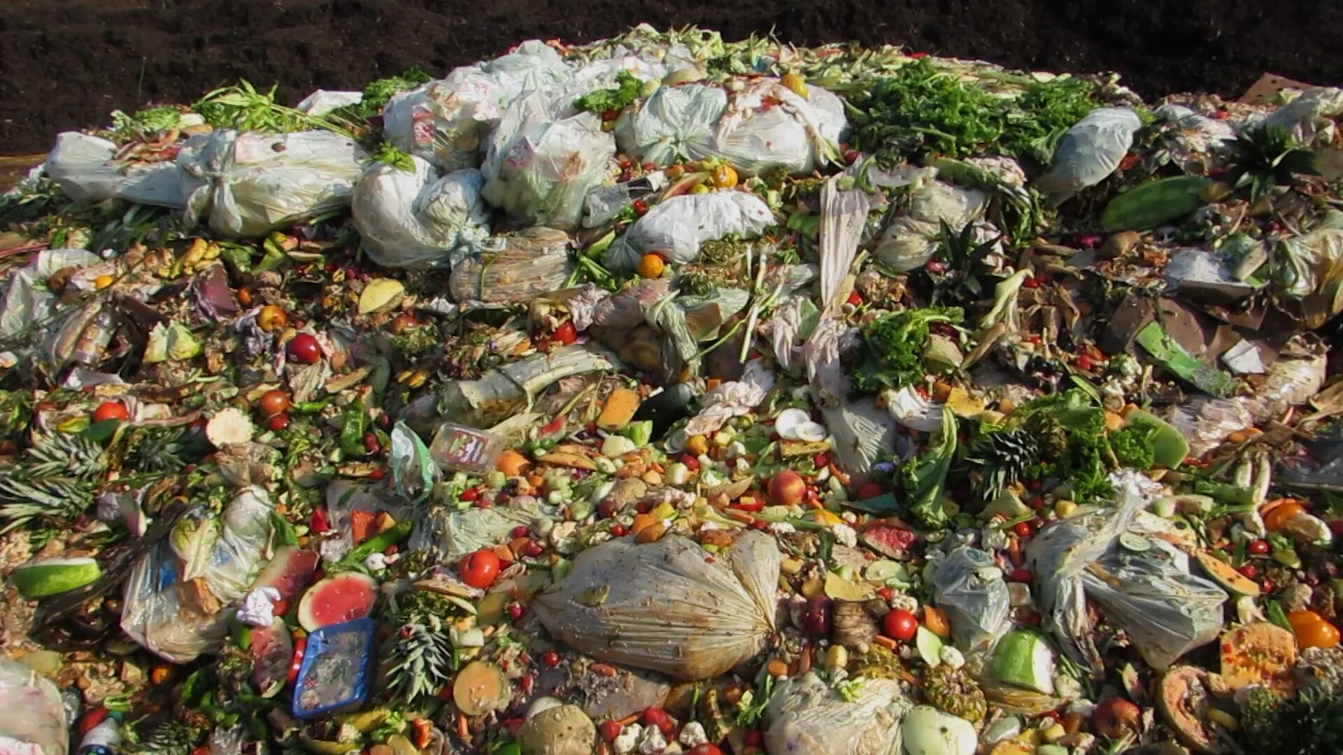 Органических отходов. Organic waste. Food waste Shredder. Organic Recycling. Food waste problem.