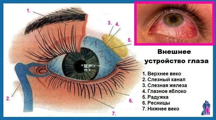 Пульсирует глаз причины