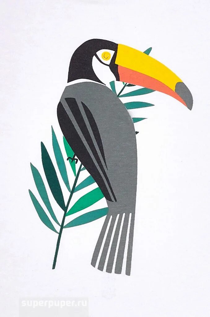 Toucan for kids спортивный костюм. Тукан кидс. Шапочка toucan for kids. Рюкзак тукан. Toucan for kids спортивный костюм.