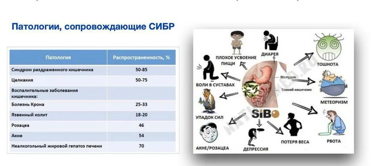 Врач превентивной медицины. Превентивная медицина фото. Превентивная нутрициология. Опасности нутрициологии.