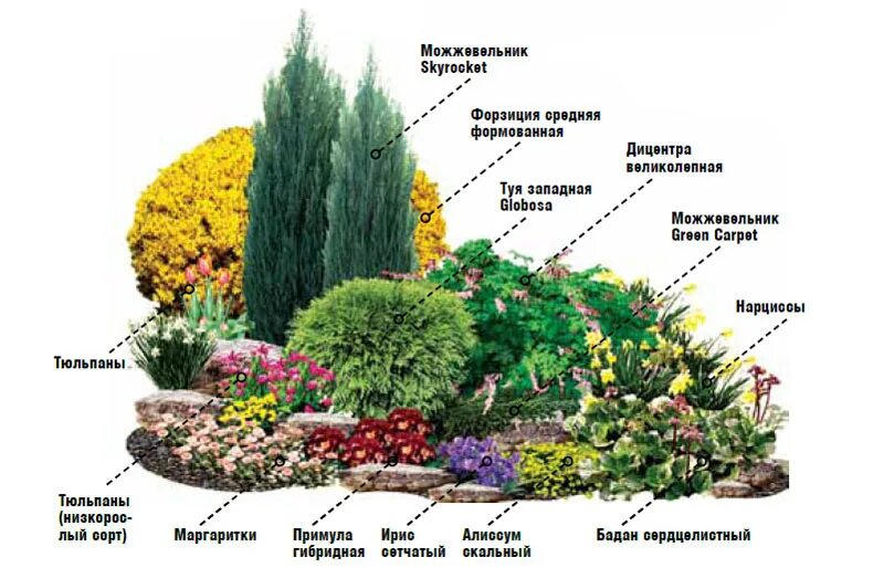 Клумбы непрерывного цветения схемы. Цветник миксбордер непрерывного цветения схема. клумбы миксбордеры непрерывного цветения. миксбордер из хвойных схема. миксбордер непрерывного цветения многолетников схема.