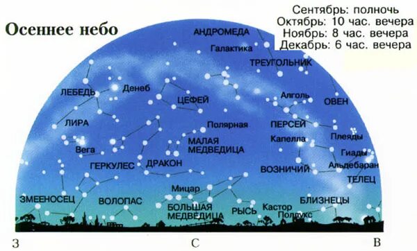 Осенние созвездия рассказы. Летне осенние созвездия. Созвездия и звезды осеннего неба. Созвездия летне осеннего неба. Весенние созвездия.