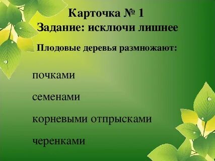 Плодовое размножение