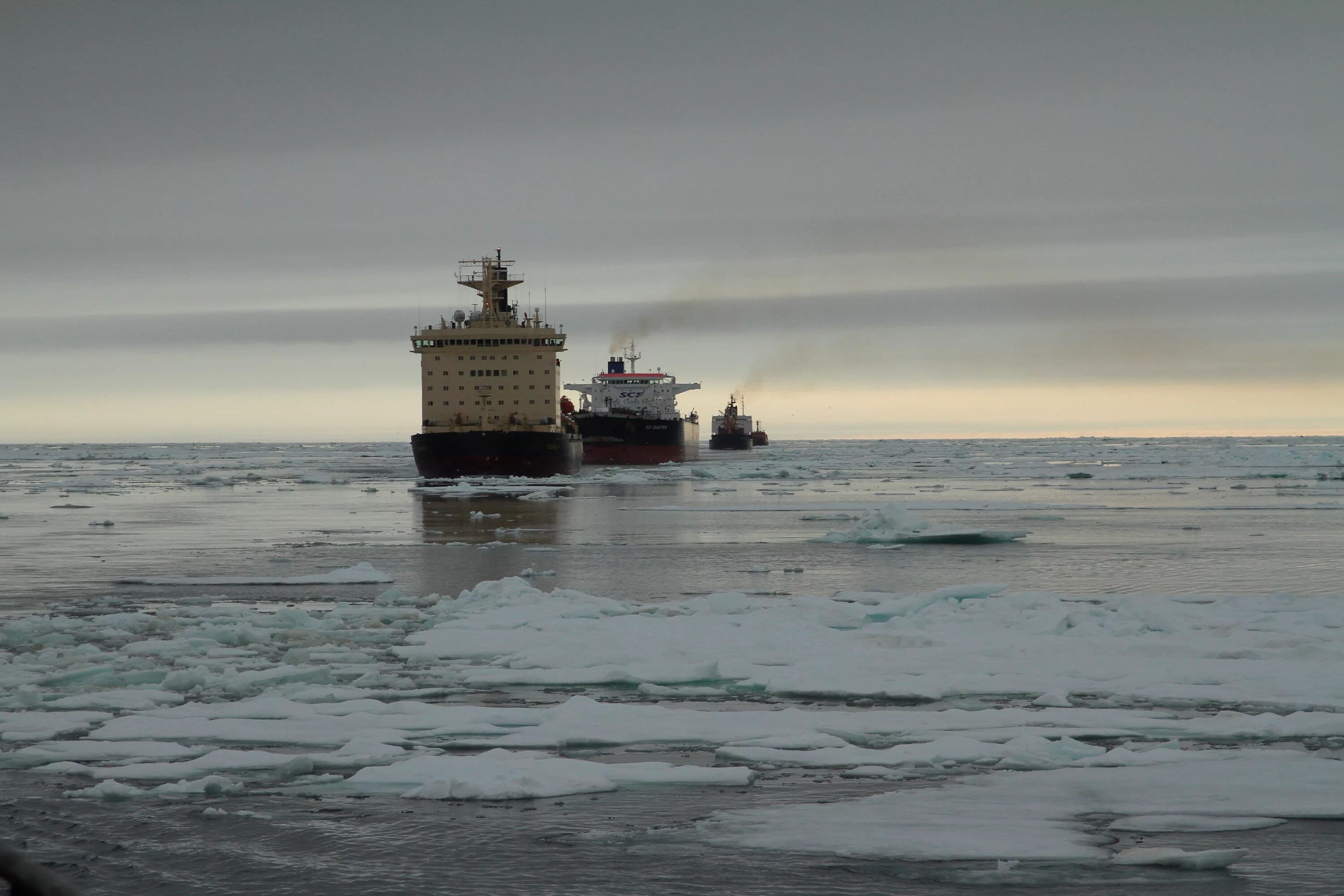 Северный караван. Ледокол Севморпуть Караван. Северный морской путь Icebreaker. Северный морской путь Караван судов. Атомоход Севморпуть.