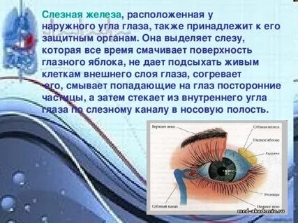 Если слезная жидкость не будет выделяться то