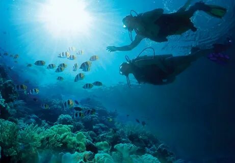 Diving for pearls