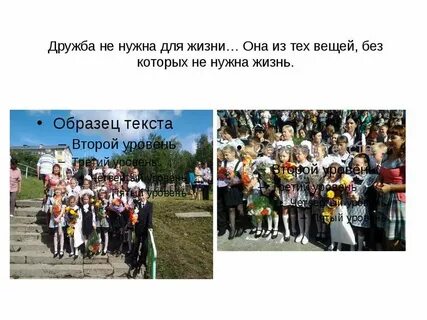 Какова дружба в жизни человека