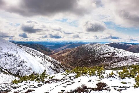 Камчатка колыма