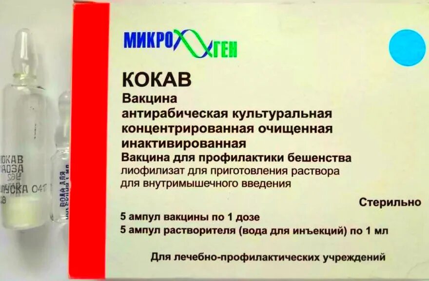 Какая прививка от бешенства человеку. Антирабическая сыворотка кокав. Кокав вакцина от бешенства. Вакцина антирабическая культуральная. Кокав схема вакцинации.