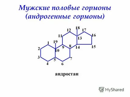 Мужской гормон