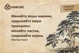 Принципы меняющие жизнь. Цитаты про принципы. афоризмы про принципы. люди без принципов цитаты. меняйте ваши мнения сохраняйте ваши принципы.