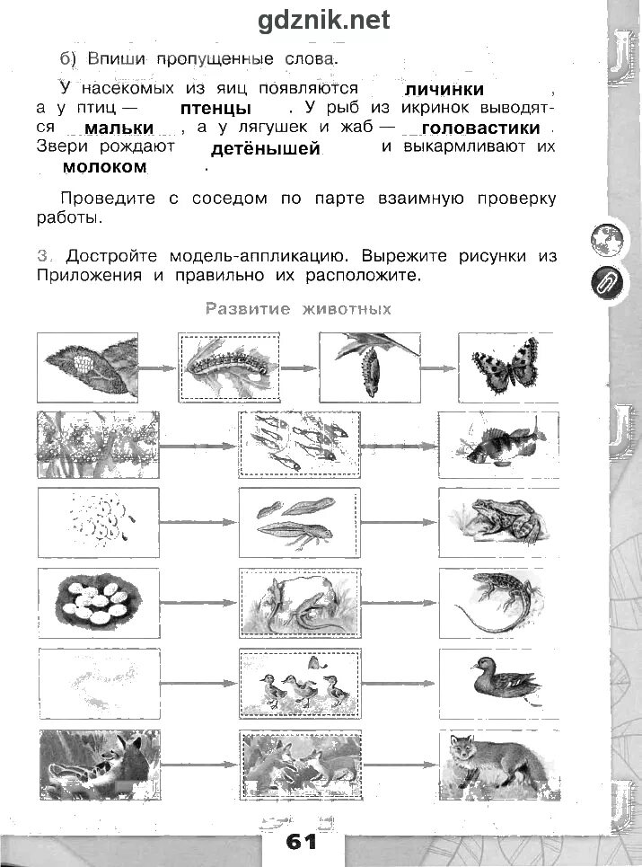 Тест разнообразие животных 3 класс плешаков