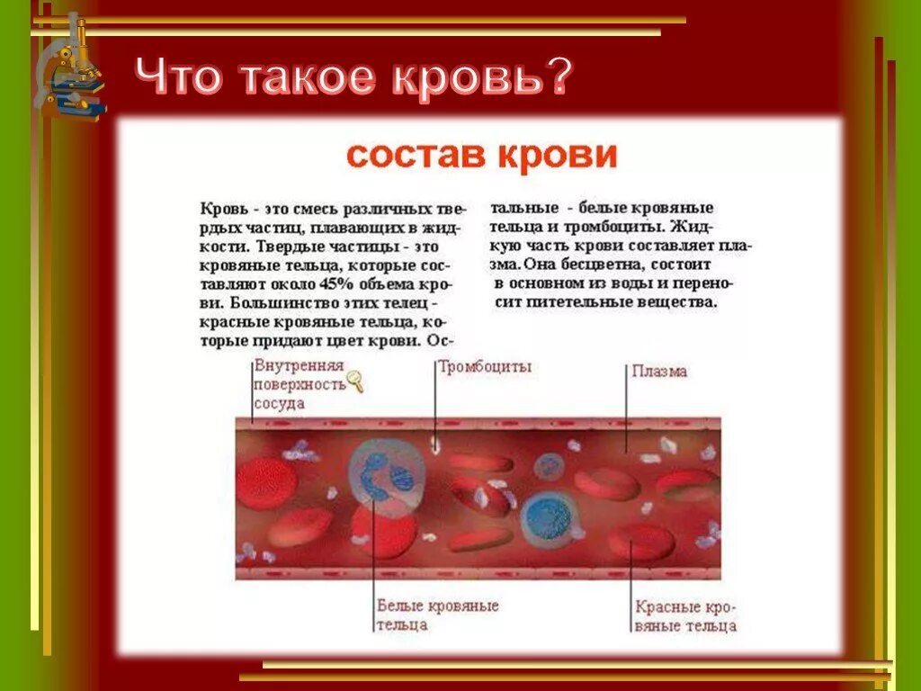 Клетки крови человека 8 класс биология. Кровь: форменные элементы крови, плазма крови. Состав плазмы крови 8 класс биология. Состав крови и её функции кратко биология 8 класс.