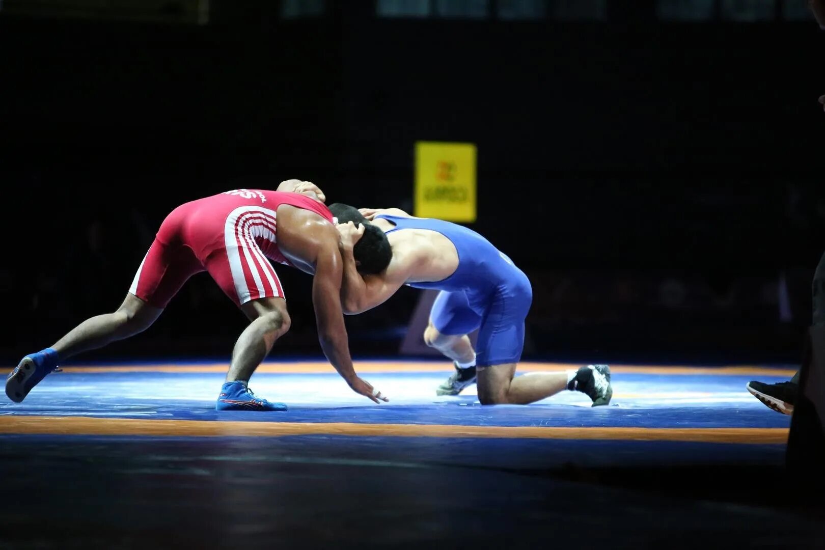 борьбы написал. анзор хизриев вольная борьба. борьбы написал. греко римская борьба (спортивная борьба анапа) вектор. уши греко-римских борцов.