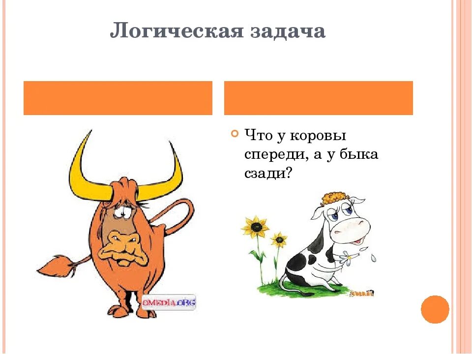 Что у коровы впереди а у быка. Что у коровы впереди а у быка позади. что у коровы спереди а у быка сзади. загадка про быка. что у коровы впереди а у быка позади ответ на загадку.