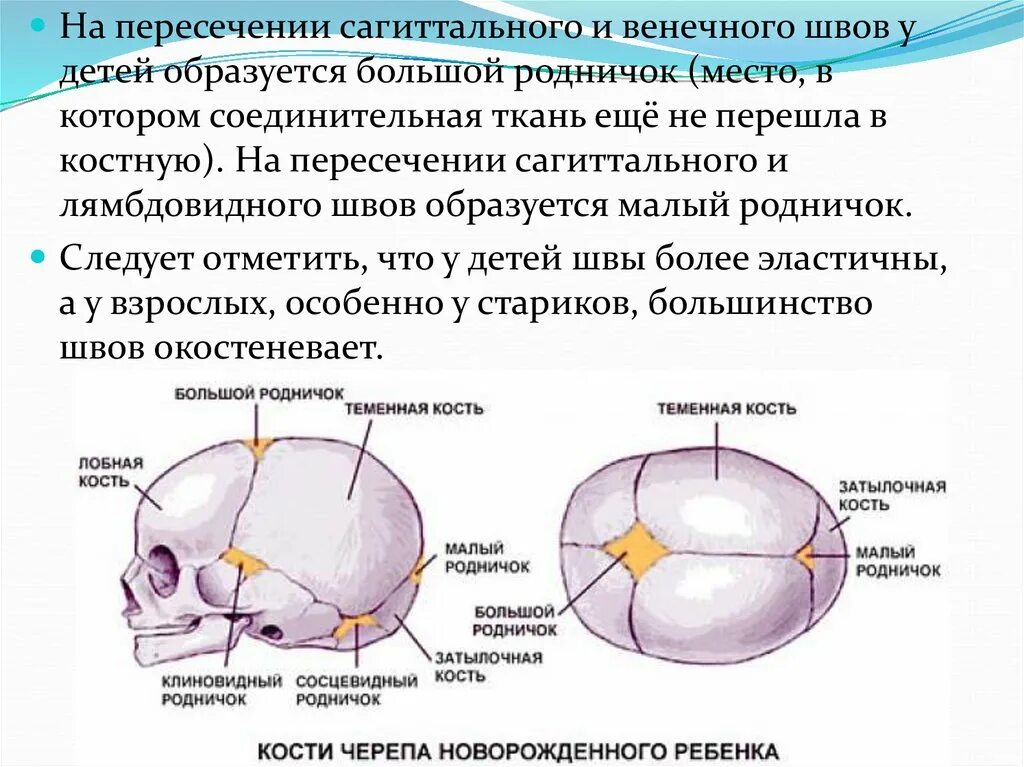 Нормальный родничок. Расположение родничков черепа у новорожденного. Передний Родничок черепа новорожденного. Роднички черепа новорожденного таблица. Швы и роднички черепа анатомия.