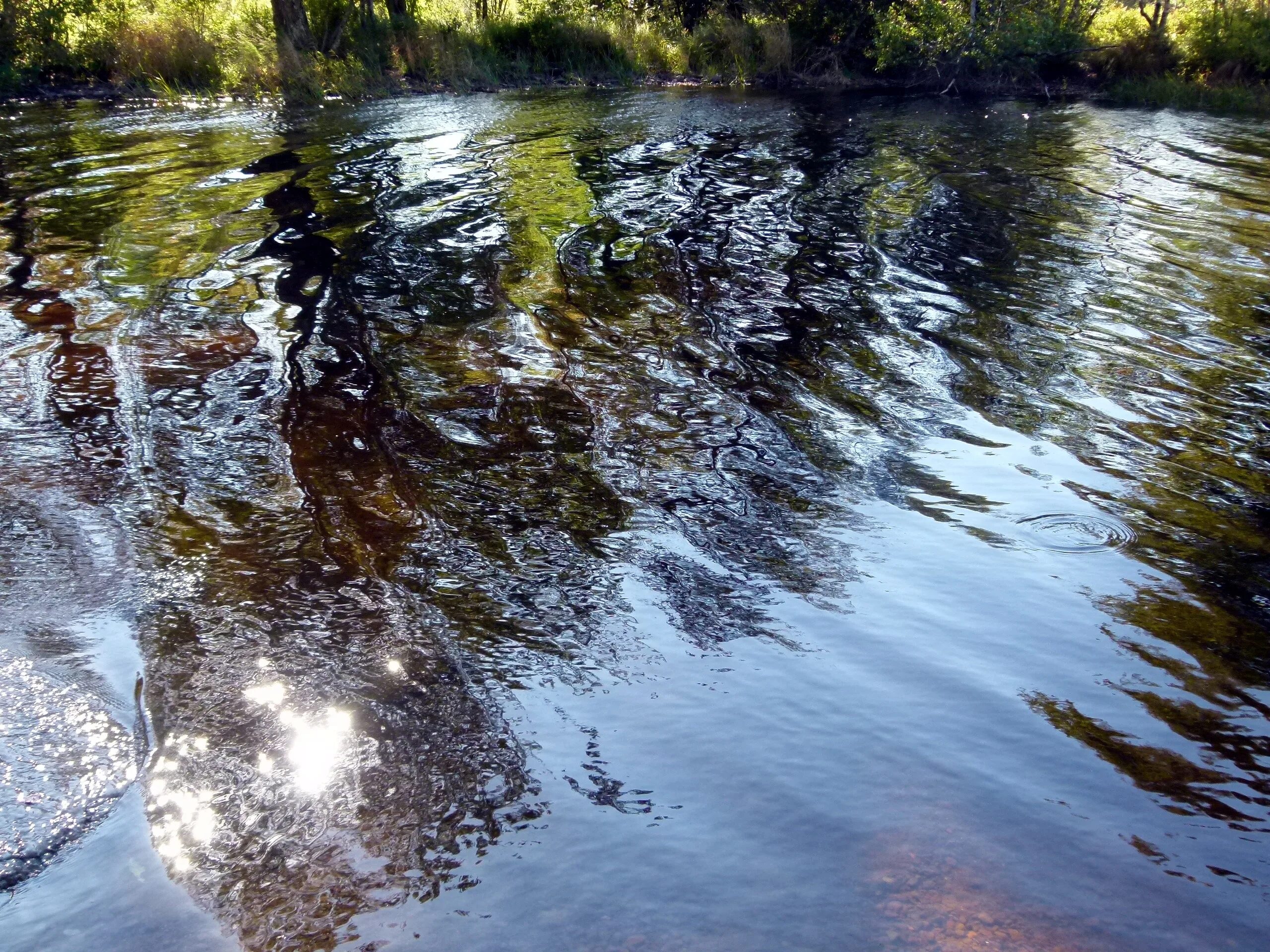 Отражение в воде. Зеркальная вода. Отражение от воды. Зеркальное отражение в воде. Песня в отражении воды