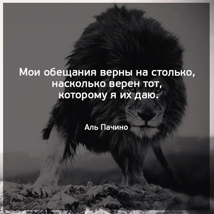 Грубость не делает чести никому. Статусы обещал. Статусы про обещания. Афоризмы про обещания. Статус про невыполненные обещания.