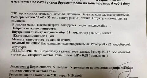 Акушерский срок 5 6 недель