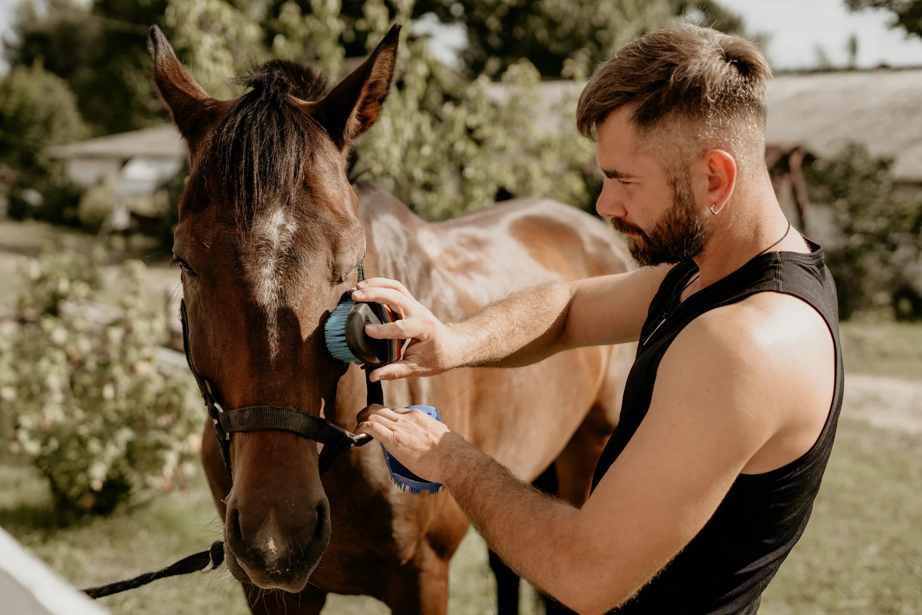 Мужчина на коне. Трое мужчин на лошадях. Groom the Horse.