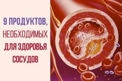 Здоровье сосудов