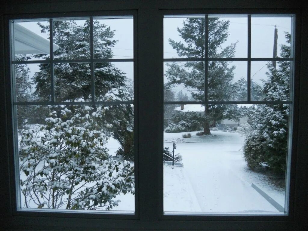 Snow in the window