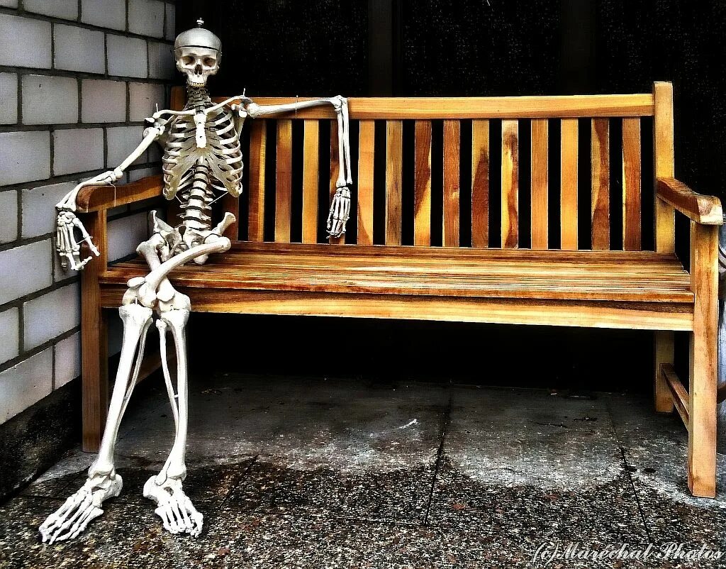 Скелет сидит. Скелет на скамейке.
