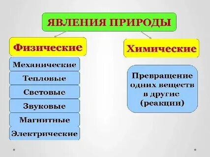 Биологические явления относятся