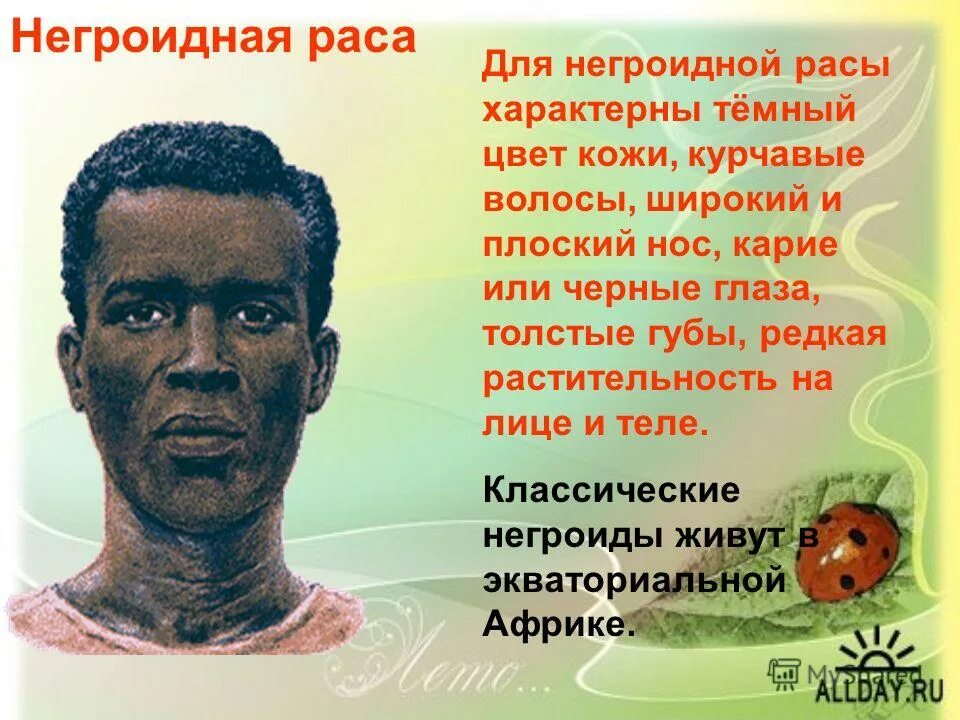 Негроидная раса кратко