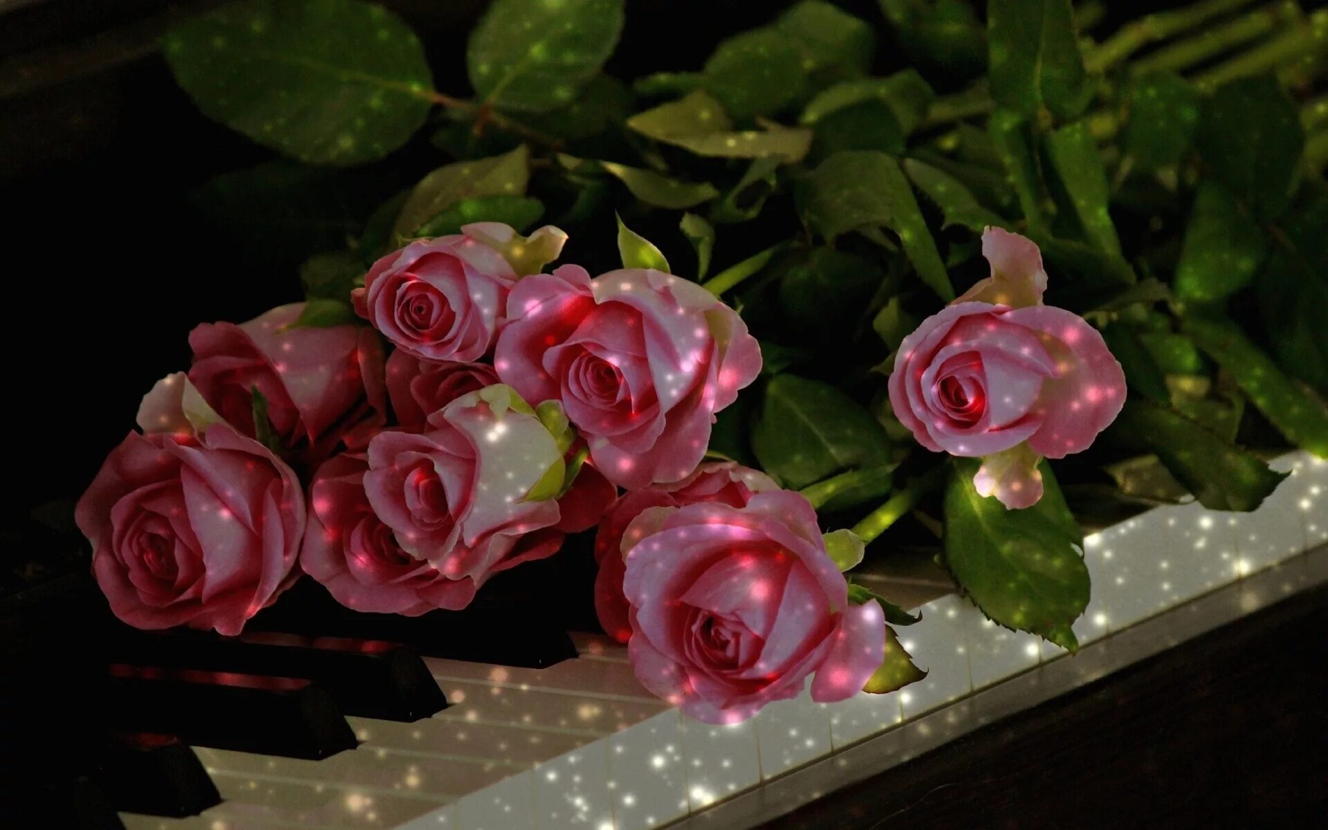 Красивые песни для видео на день рождения. Очень красивые цветы. Мерцающие цветы. Чудесные цветы. Роскошные розы.
