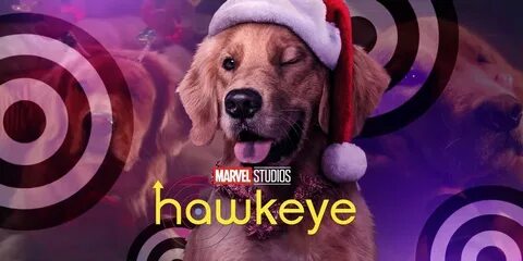 Dog kate