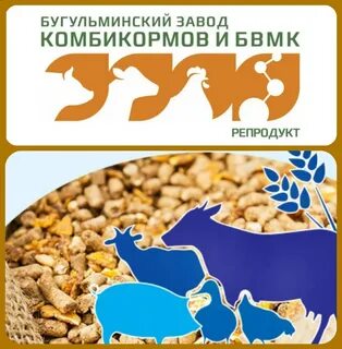Комбикорм кострома