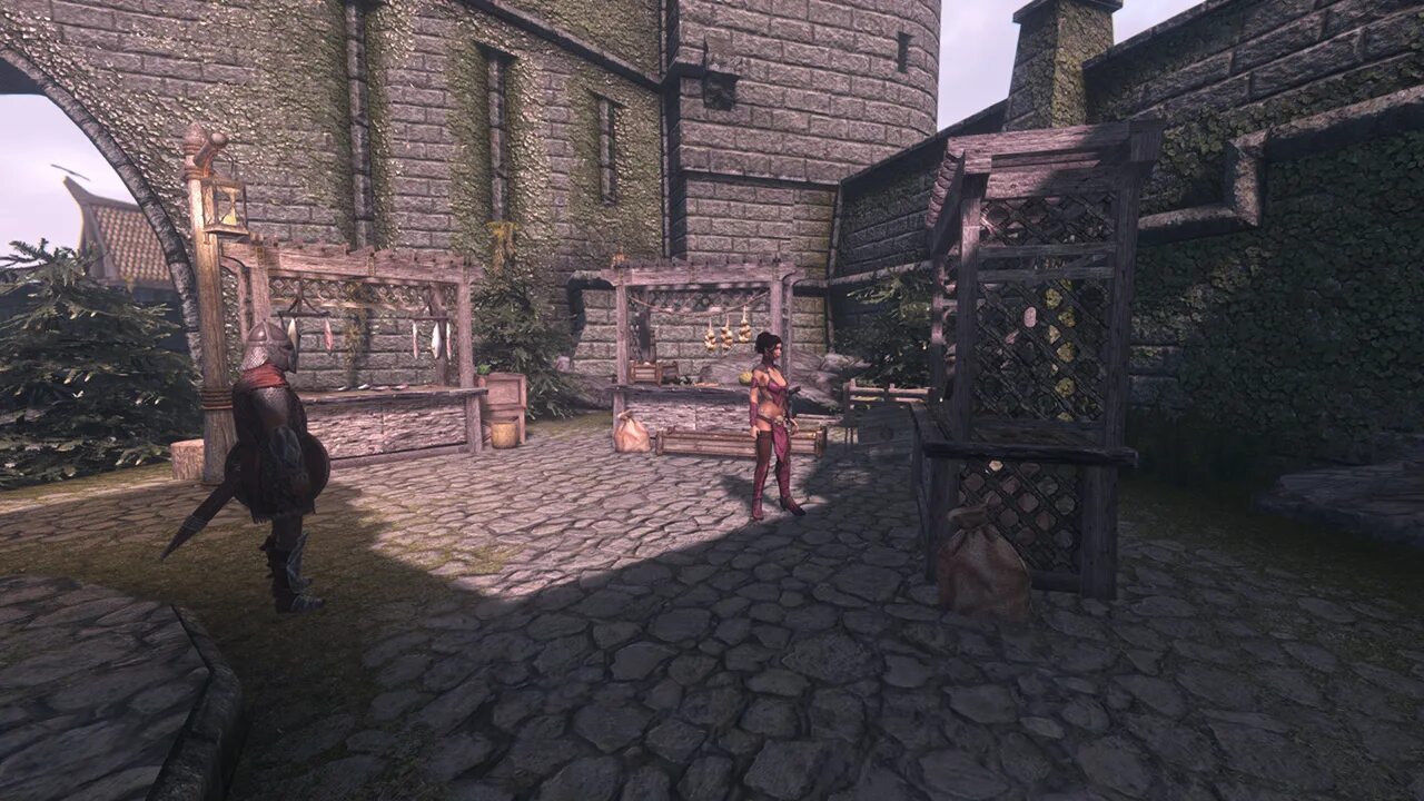 Скайрим fnis. Скайрим fnis. Скайрим fnis. 8 пиратка. Skyrim le fnis.