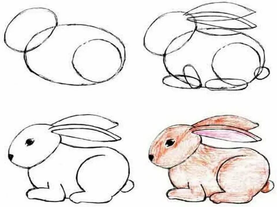 Что можно нарисовать 4 класс. Заяц рисунок для детей карандашом. Поэтапное рисование животных. Пошаговые уроки рисования для детей. Поэтапное рисование зайца.