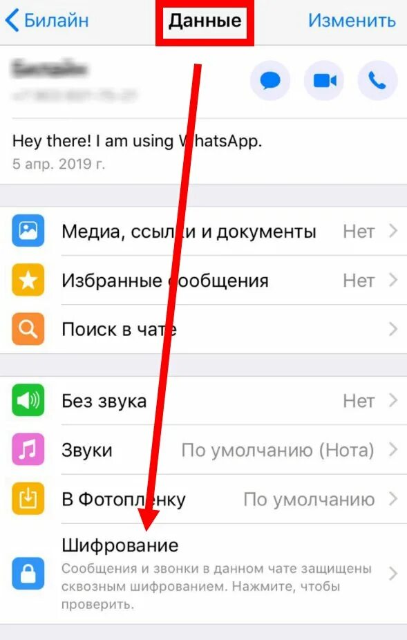 Код безопасности пользователя изменился. Код безопасности изменился WHATSAPP. Коды безопасности в ватсапе. Ваш код безопасности с пользователем изменился. Расположение статуса изменено что означает в вацапе