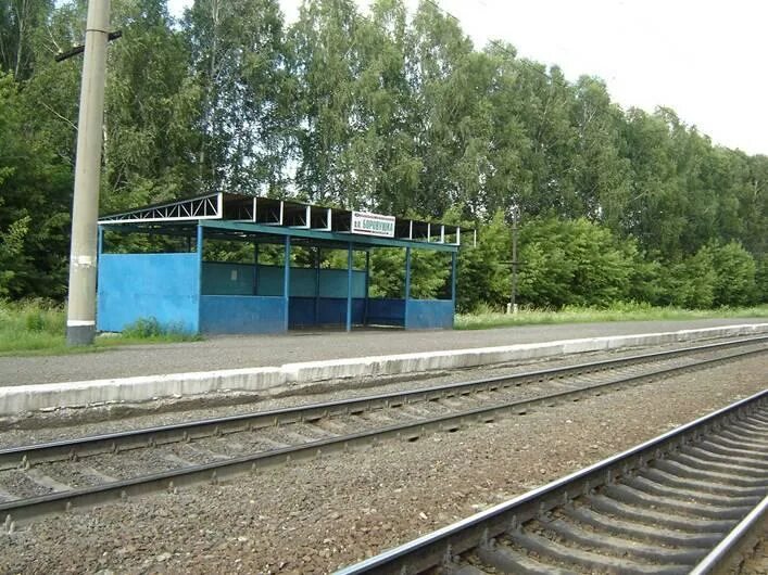Электрички льниха новосибирск сегодня. Схема новосибирских электричек. Новосибирск льниха фото. Станция ботино. Станция буготак новосибирская область.