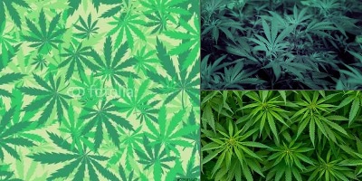 фоны на аск марихуана