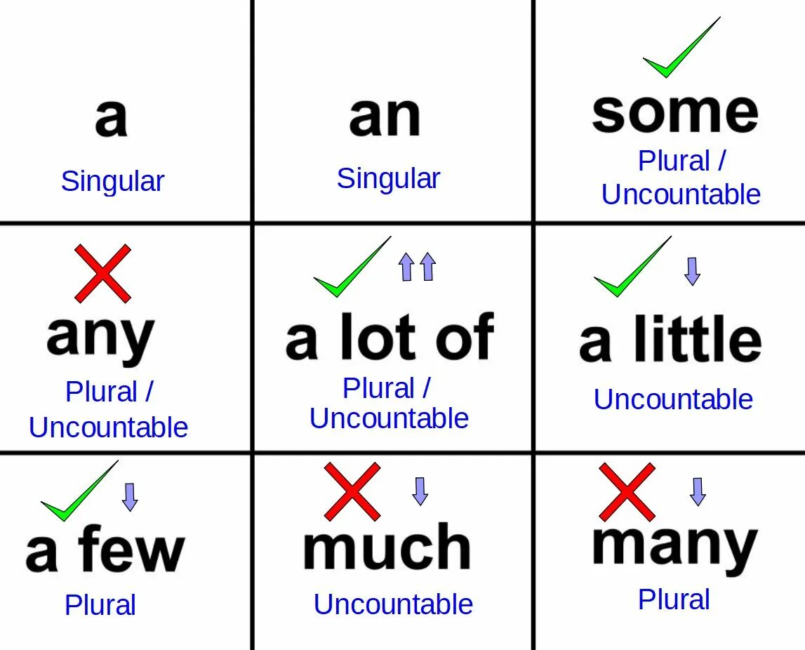 Правила some any no much many a lot of. Some any much many a lot of правило. Much, many, little, few, some, any правило. Some any much many a lot of a few a little правила.