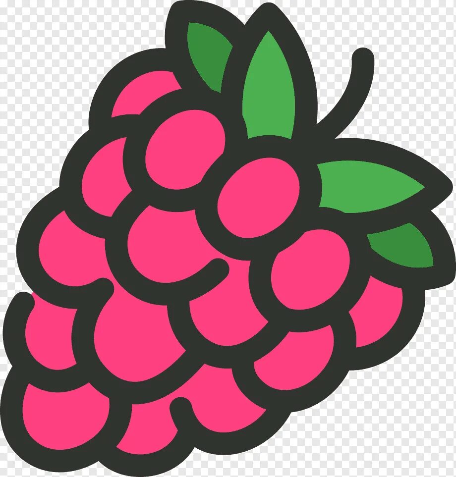 Малина вектор. Малина мультяшная. Raspberry pi лого. Ягода малина нарисованная. Малина мультяшная.