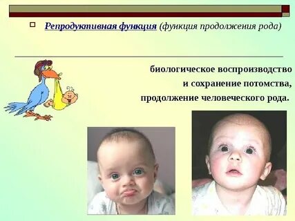 Функции рода