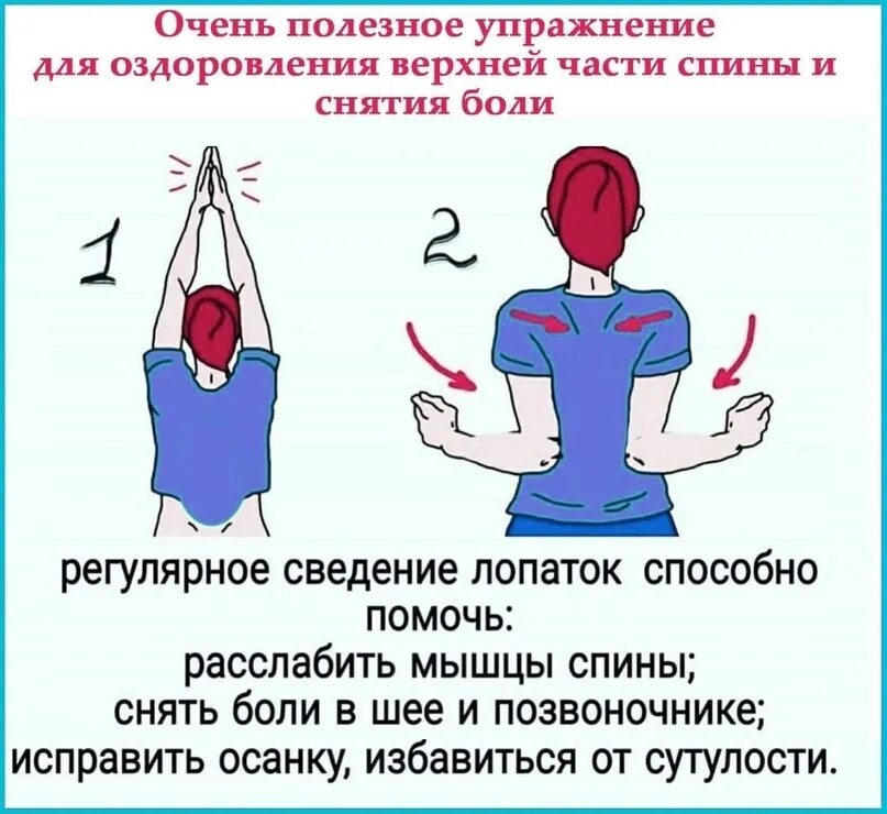 Упражнения для снятия боли в спине. Сведение лопаток упражнение. Упражнения для снятия боли в спине между лопатками. Упражнения для снятия боли в шее. Эффективное снятие боли