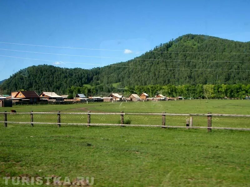 Подслушано в шебалино вконтакте республика. Шебалино Алтайский край. Село Шебалино Республика Алтай. Аскар Шебалино Республика Алтай. Ильинка Алтайский край Шебалинский район.