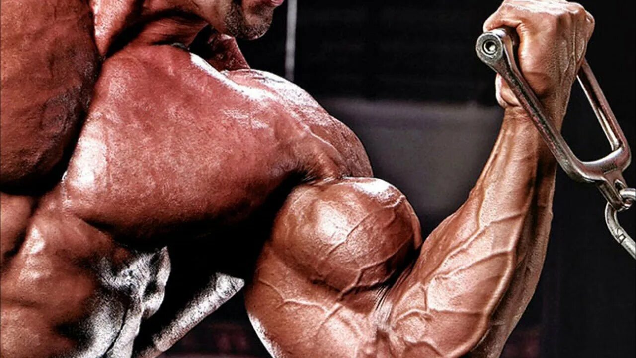 Тяга т штанги. Брахиалис. Тренировка мышц предплечья. Забивается бицепс. Мужской бицепс.