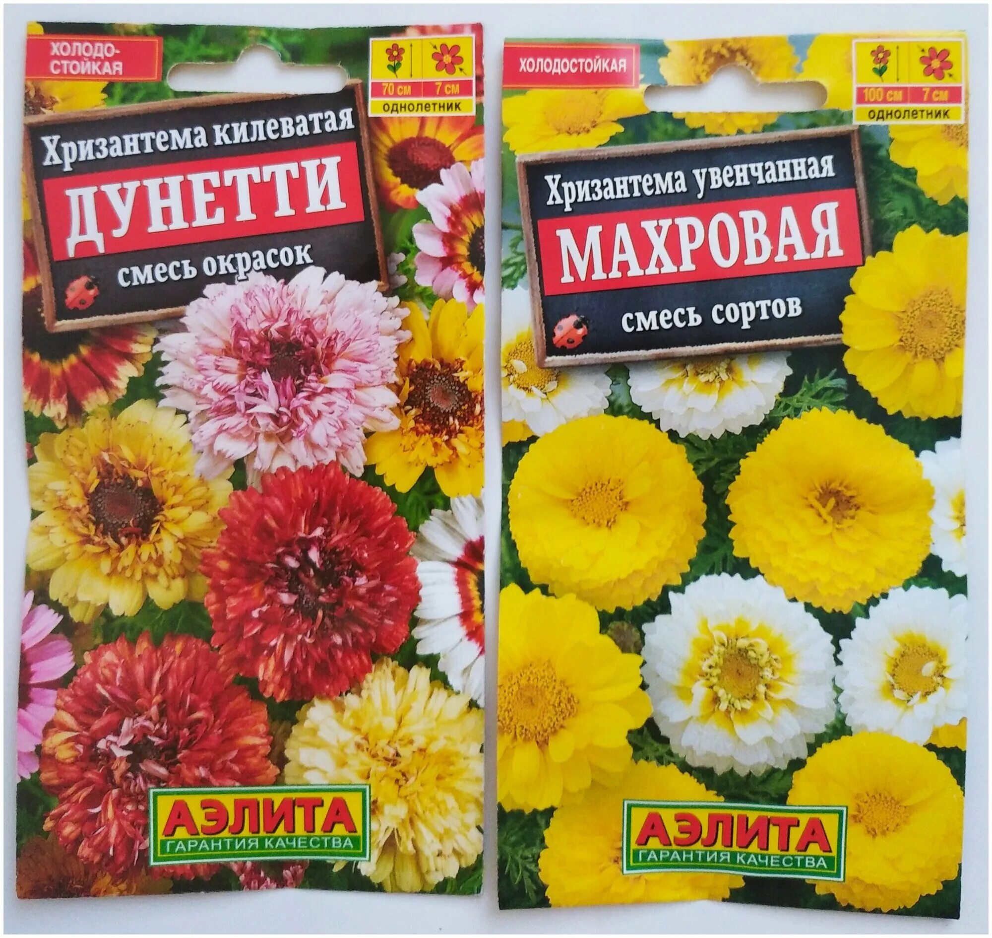 Хризантема килеватая смесь. Хризантема махровая смесь. Хризантема килеватая дунетти. Хризантема махровая смесь. Хризантема голден махр.