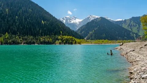 2012 жылдың ең сексуалды қыздары