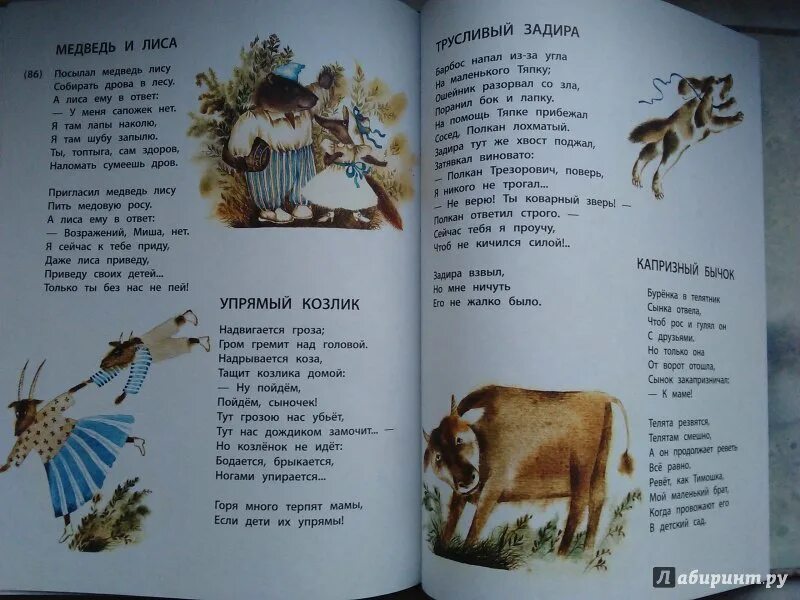 Ладонщиков лучший друг. Ладонщиков лучший друг