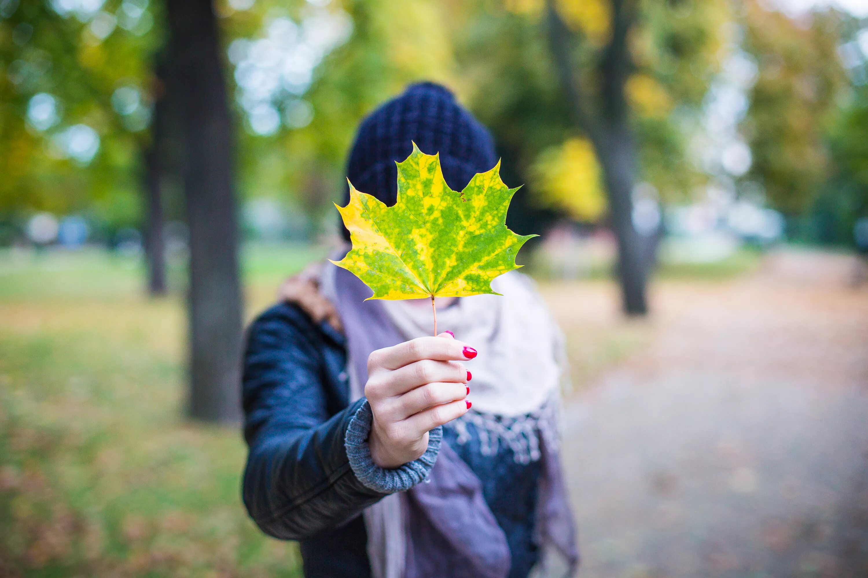 Листьев в колпаке. Лист в руке. Осенние листья в руках девушки. Лист в руке осень. Человек с листом.